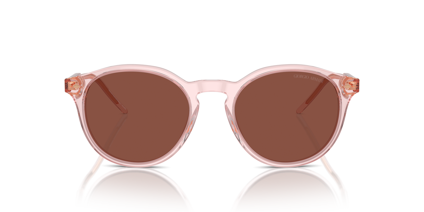 Giorgio Armani Sunglasses AR8211 6073C5