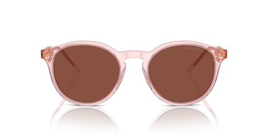 Giorgio Armani Sunglasses AR8211 6073C5