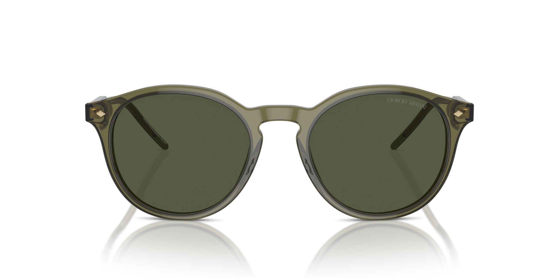 Giorgio Armani Sunglasses AR8211 607452