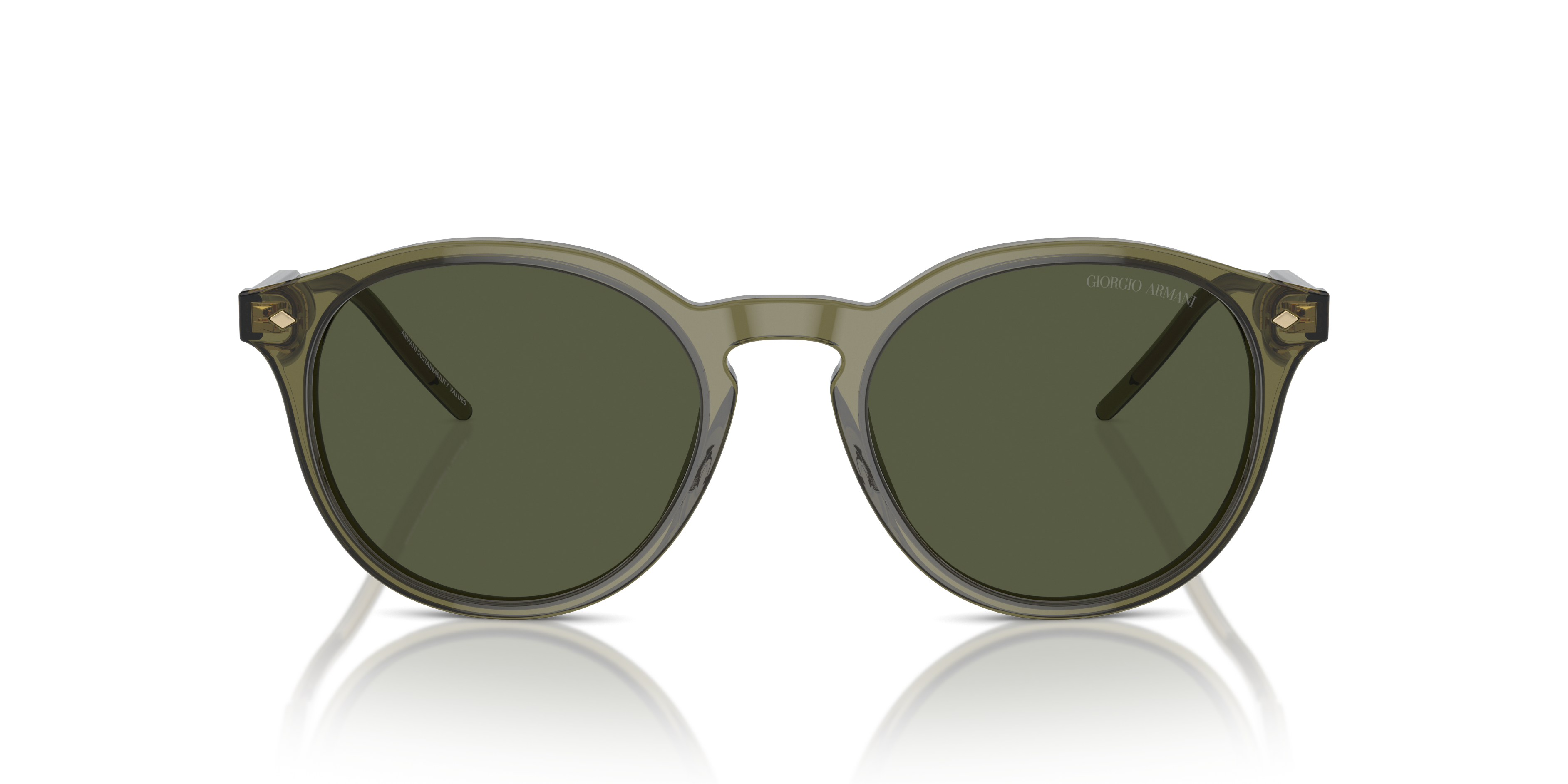 Giorgio Armani Sunglasses AR8211 607452