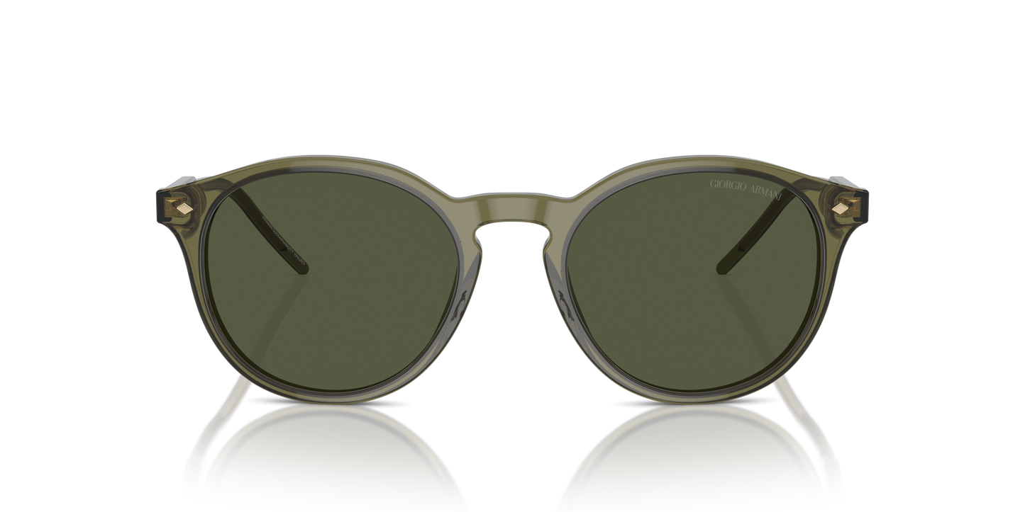 Giorgio Armani Sunglasses AR8211 607452