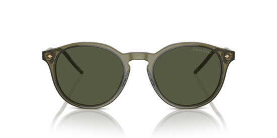 Giorgio Armani Sunglasses AR8211 607452