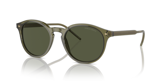 Giorgio Armani Sunglasses AR8211 607452