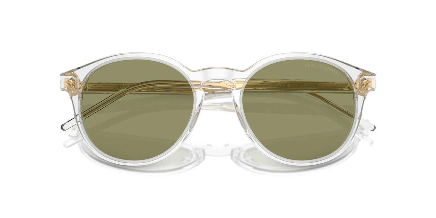 Giorgio Armani Sunglasses AR8211 607514