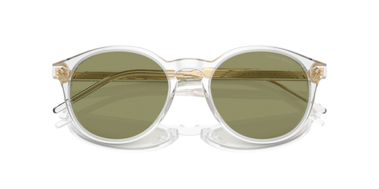 Giorgio Armani Sunglasses AR8211 607514