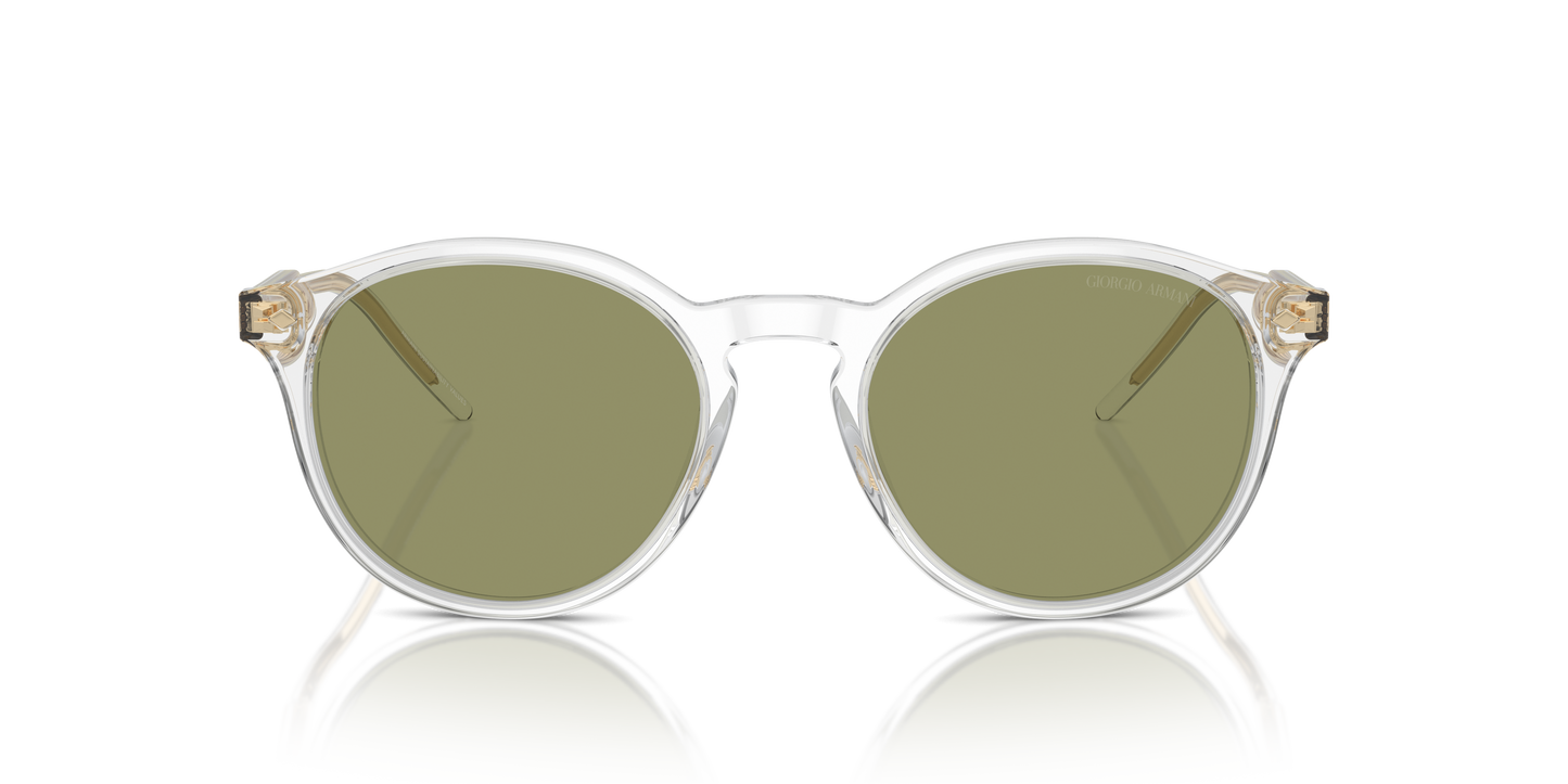 Giorgio Armani Sunglasses AR8211 607514