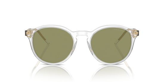 Giorgio Armani Sunglasses AR8211 607514