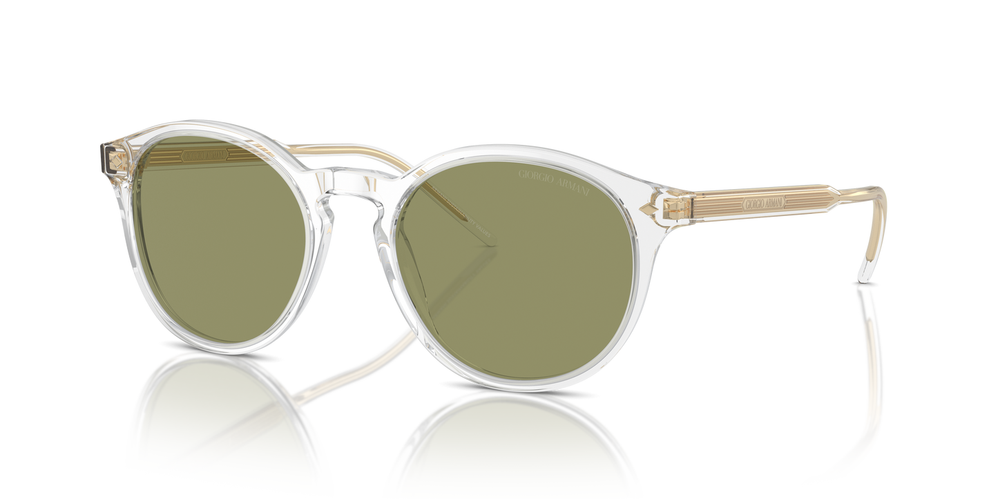 Giorgio Armani Sunglasses AR8211 607514