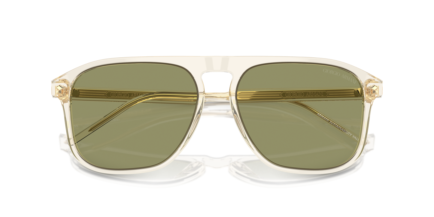 Giorgio Armani Sunglasses AR8212 607714