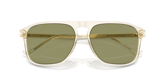 Giorgio Armani Sunglasses AR8212 607714