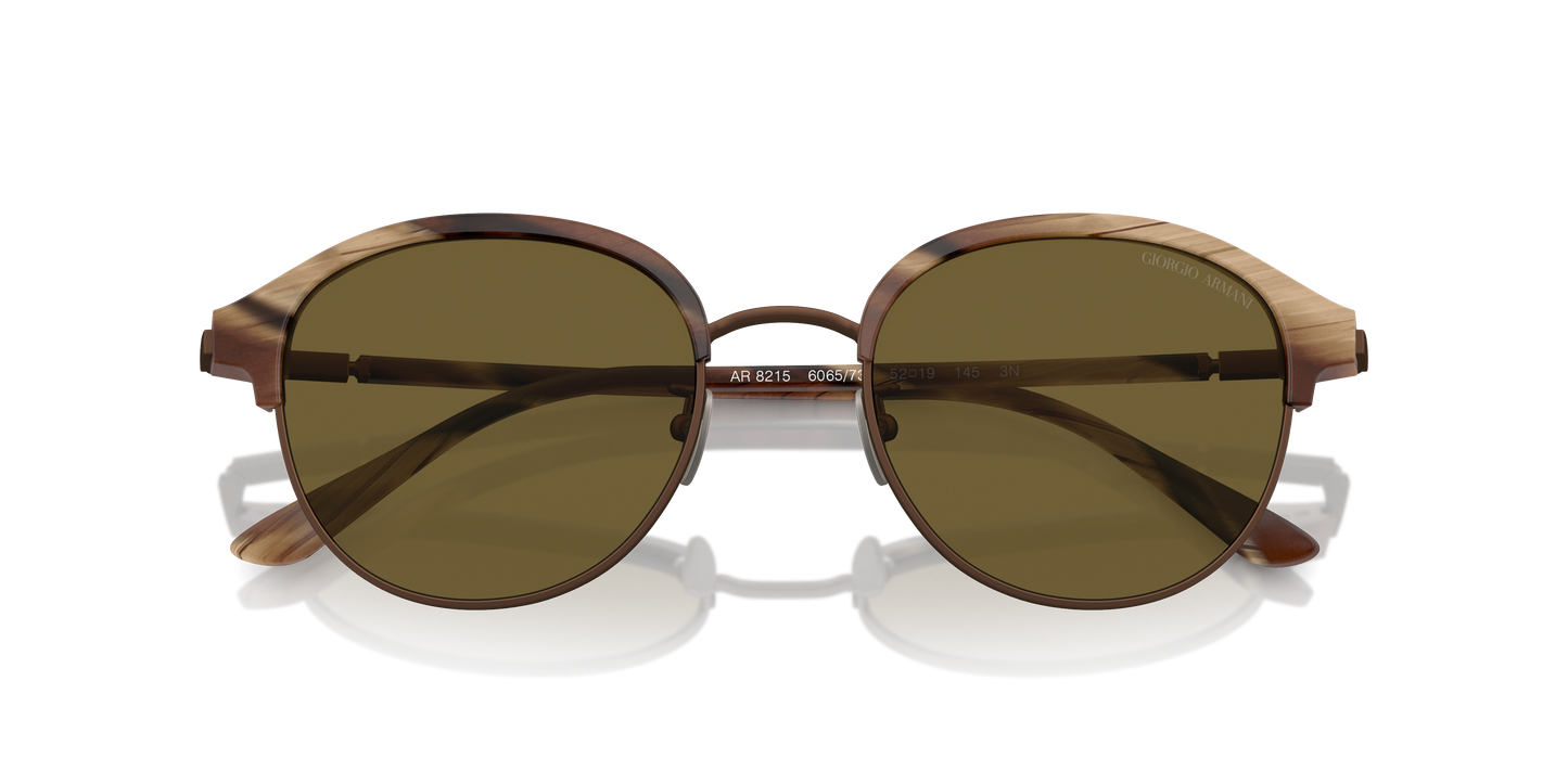 Giorgio Armani Sunglasses AR8215 606573