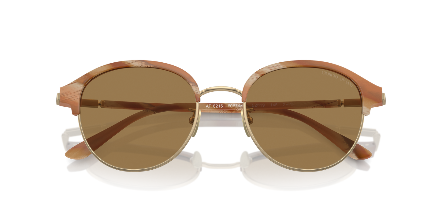 Giorgio Armani Sunglasses AR8215 6067M4