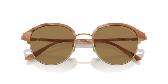 Giorgio Armani Sunglasses AR8215 6067M4