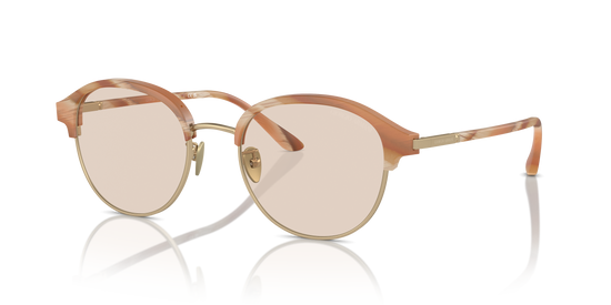 Giorgio Armani Sunglasses AR8215 6067M4