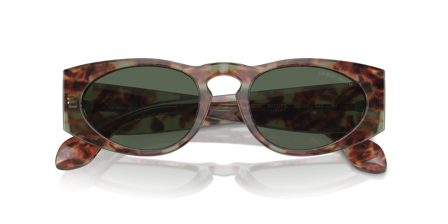 Giorgio Armani Sunglasses AR8216 597771