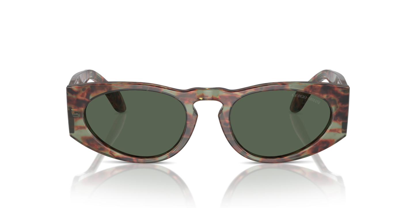 Giorgio Armani Sunglasses AR8216 597771