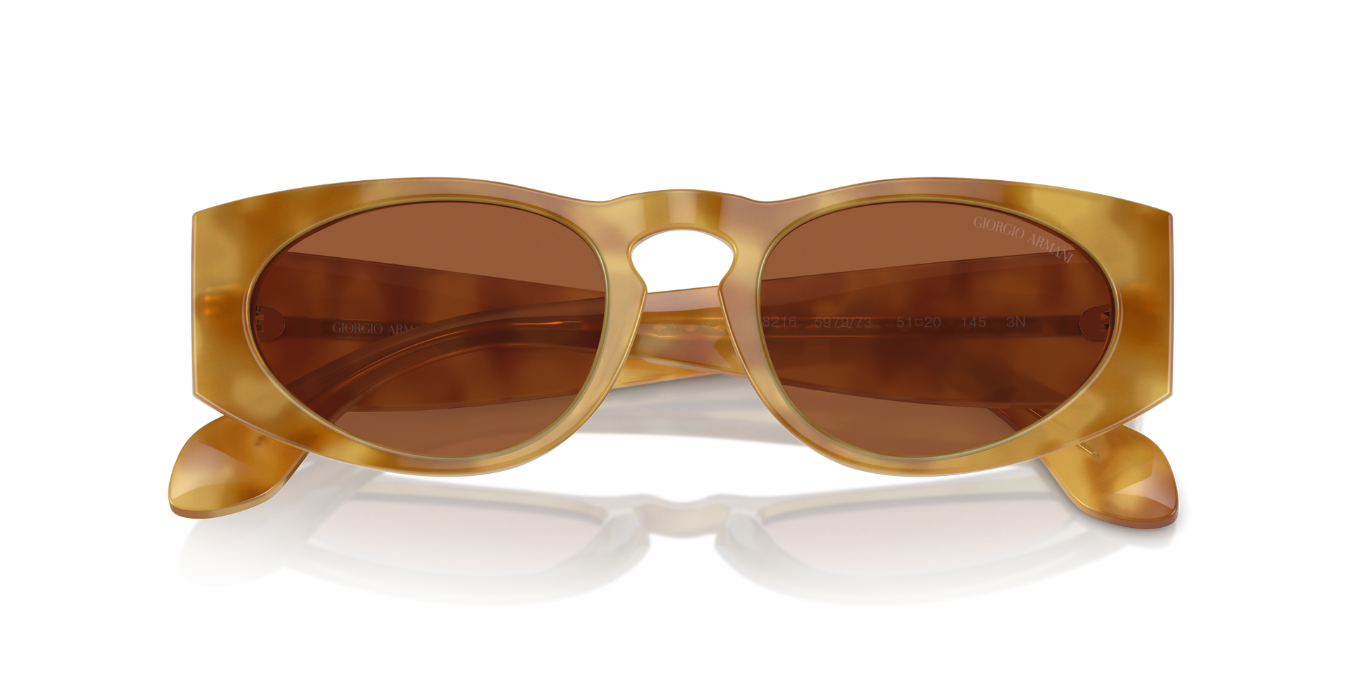 Giorgio Armani Sunglasses AR8216 597973