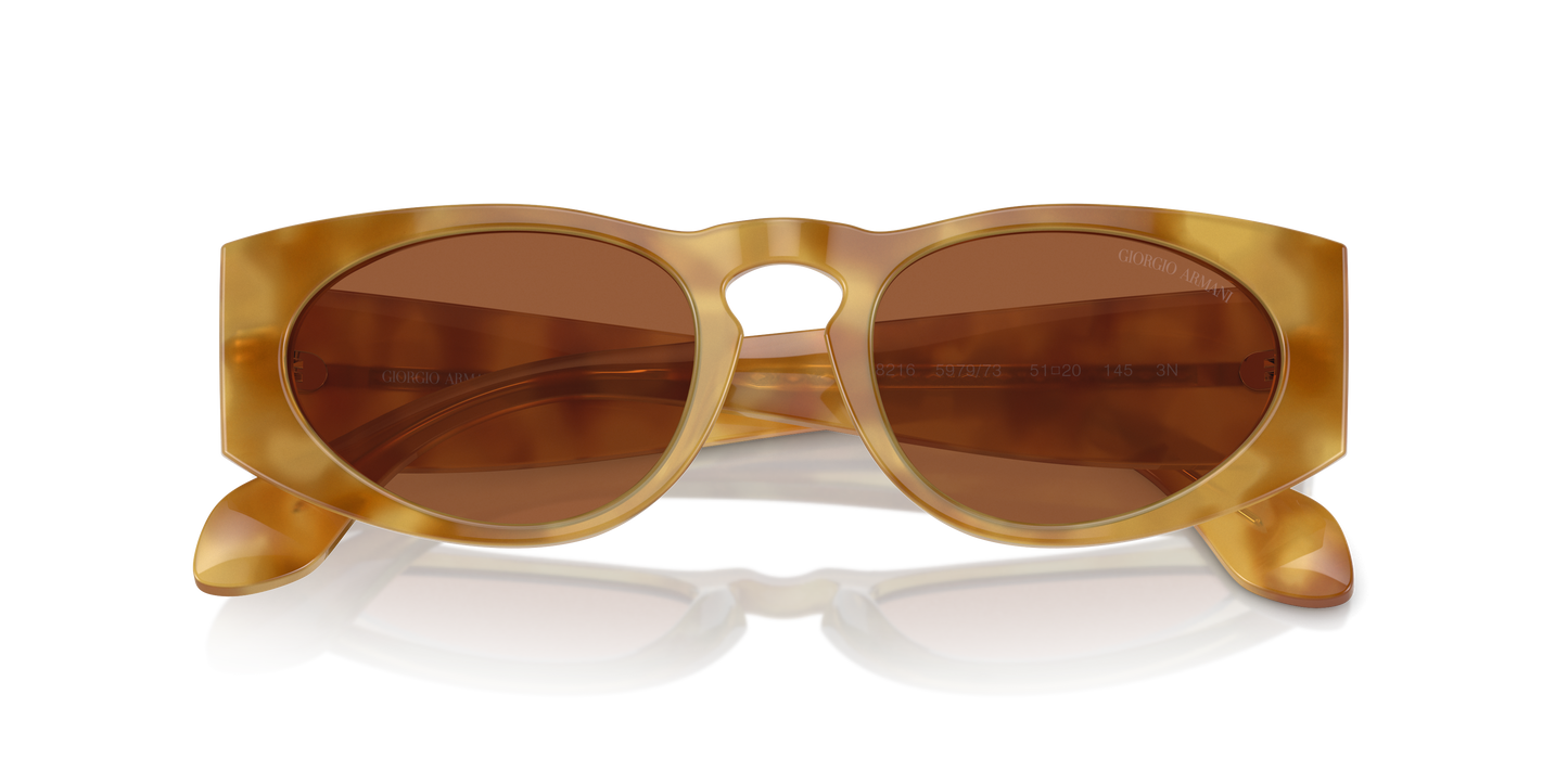 Giorgio Armani Sunglasses AR8216 597973