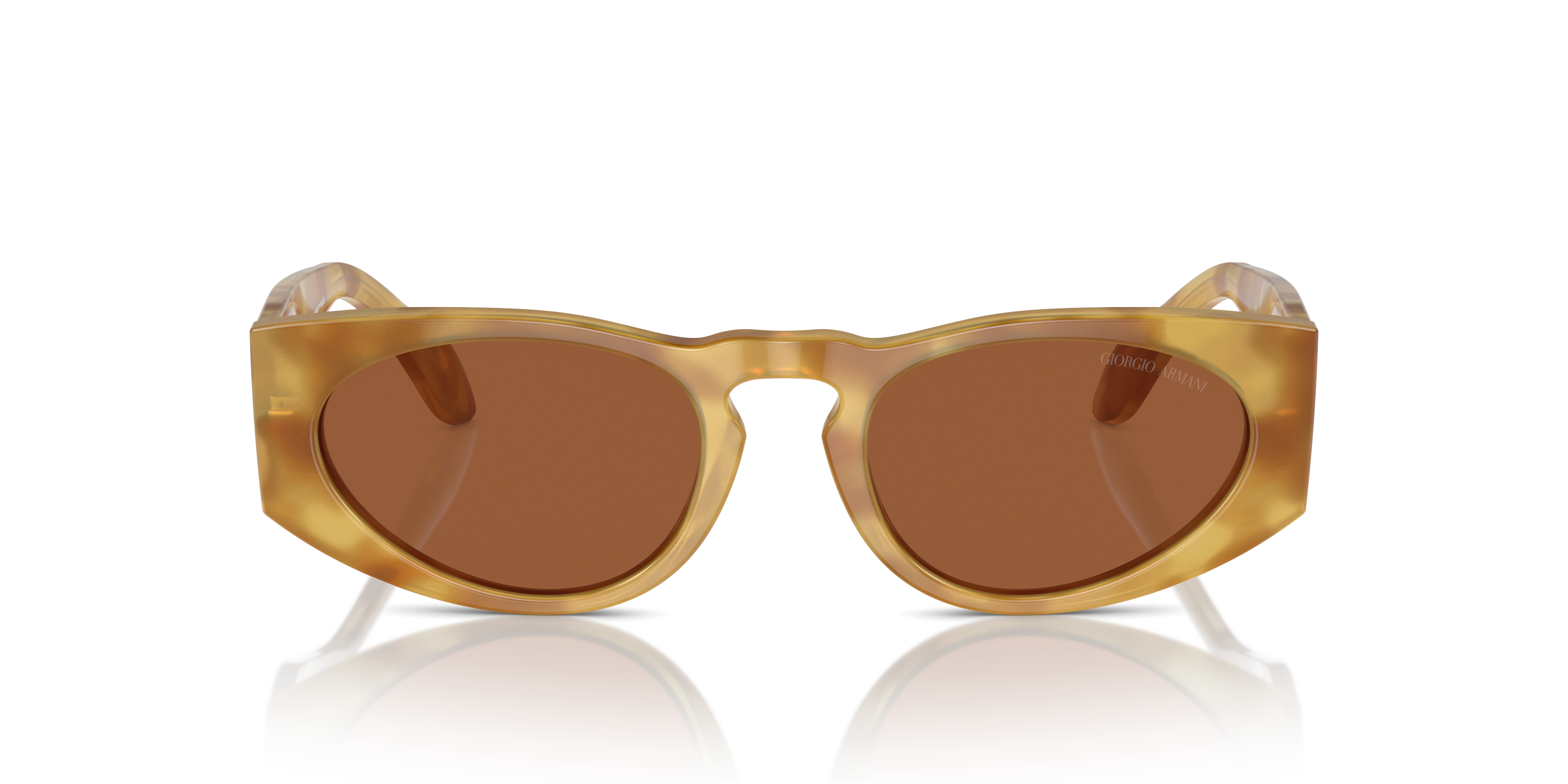 Giorgio Armani Sunglasses AR8216 597973