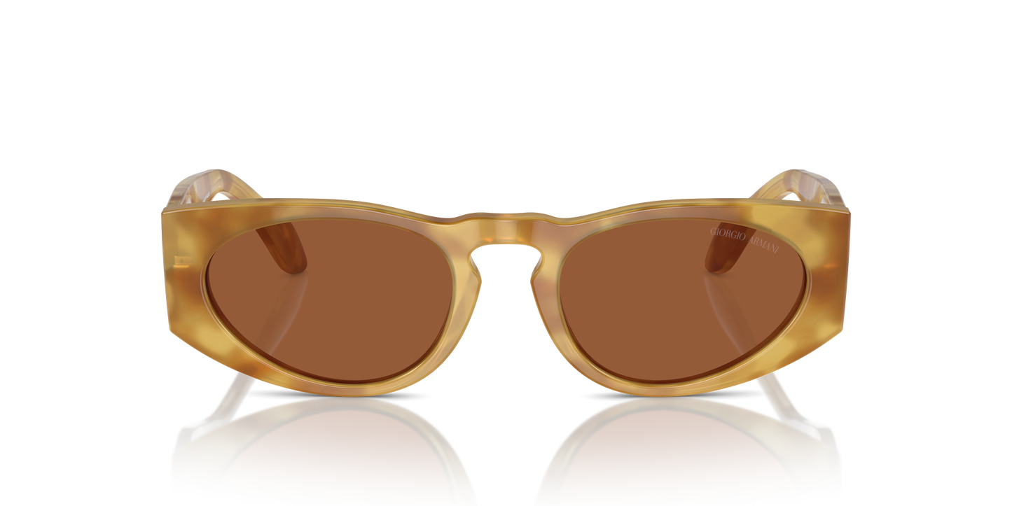 Giorgio Armani Sunglasses AR8216 597973