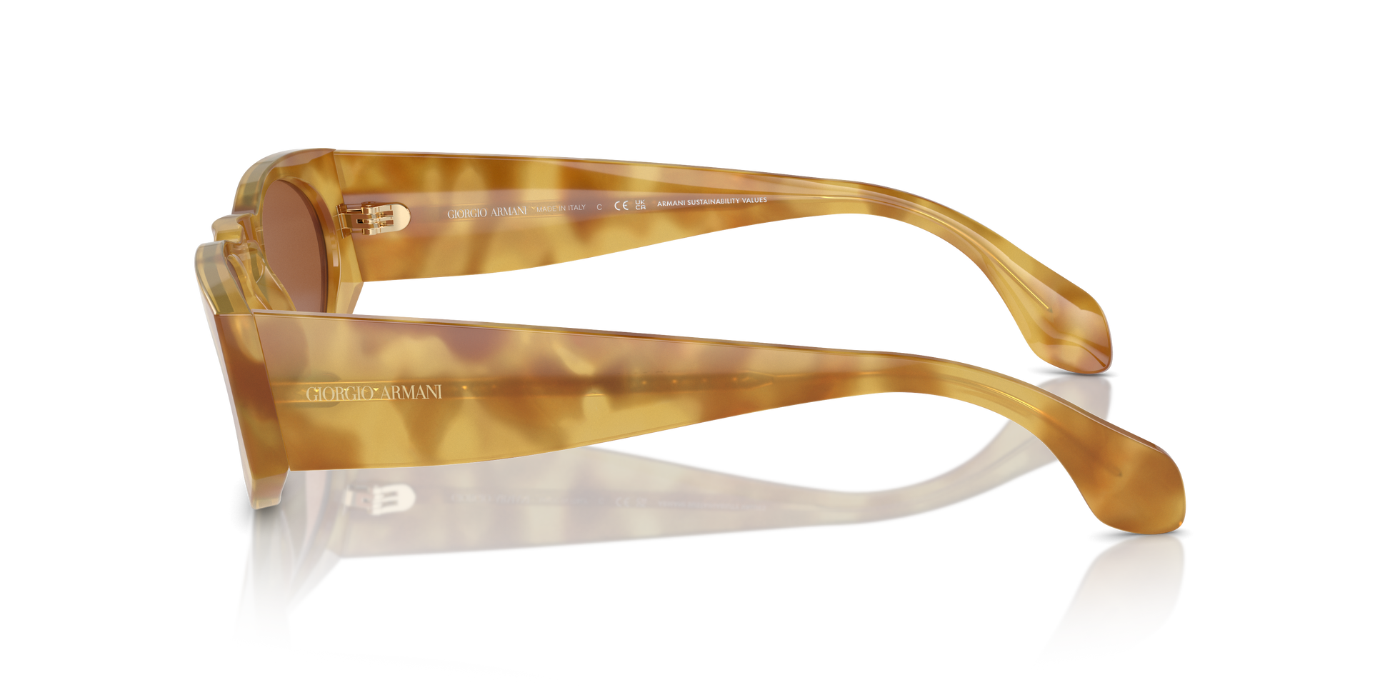 Giorgio Armani Sunglasses AR8216 597973