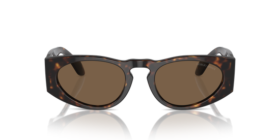 Giorgio Armani Sunglasses AR8216 612473