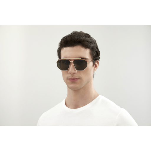 Alexander Mcqueen Sunglasses AM0337S 003