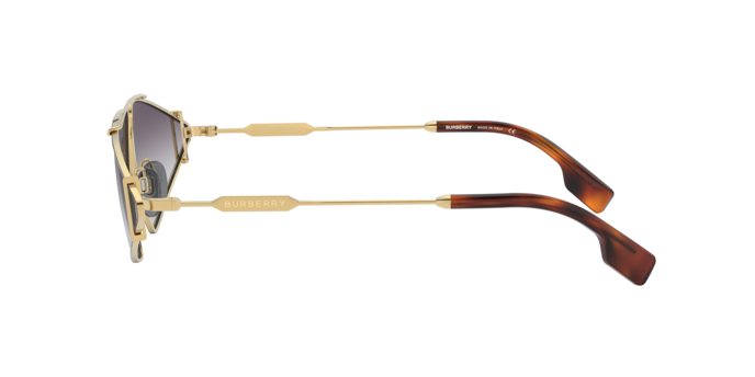 Burberry Sunglasses BE3111 10178G