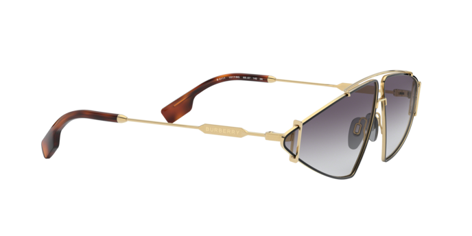 Burberry Sunglasses BE3111 10178G