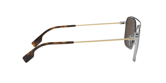 Burberry Falcon Sunglasses BE3112 130173