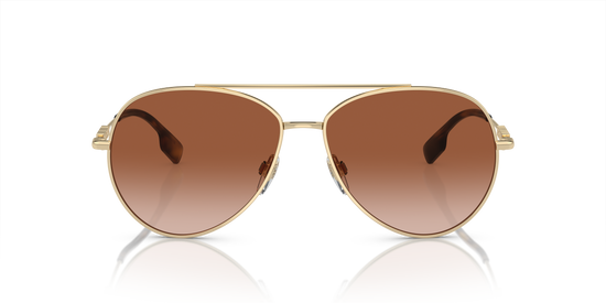 Burberry Sunglasses BE3147 110913