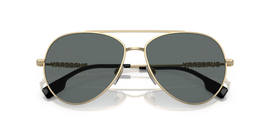 Burberry Sunglasses BE3147 110981