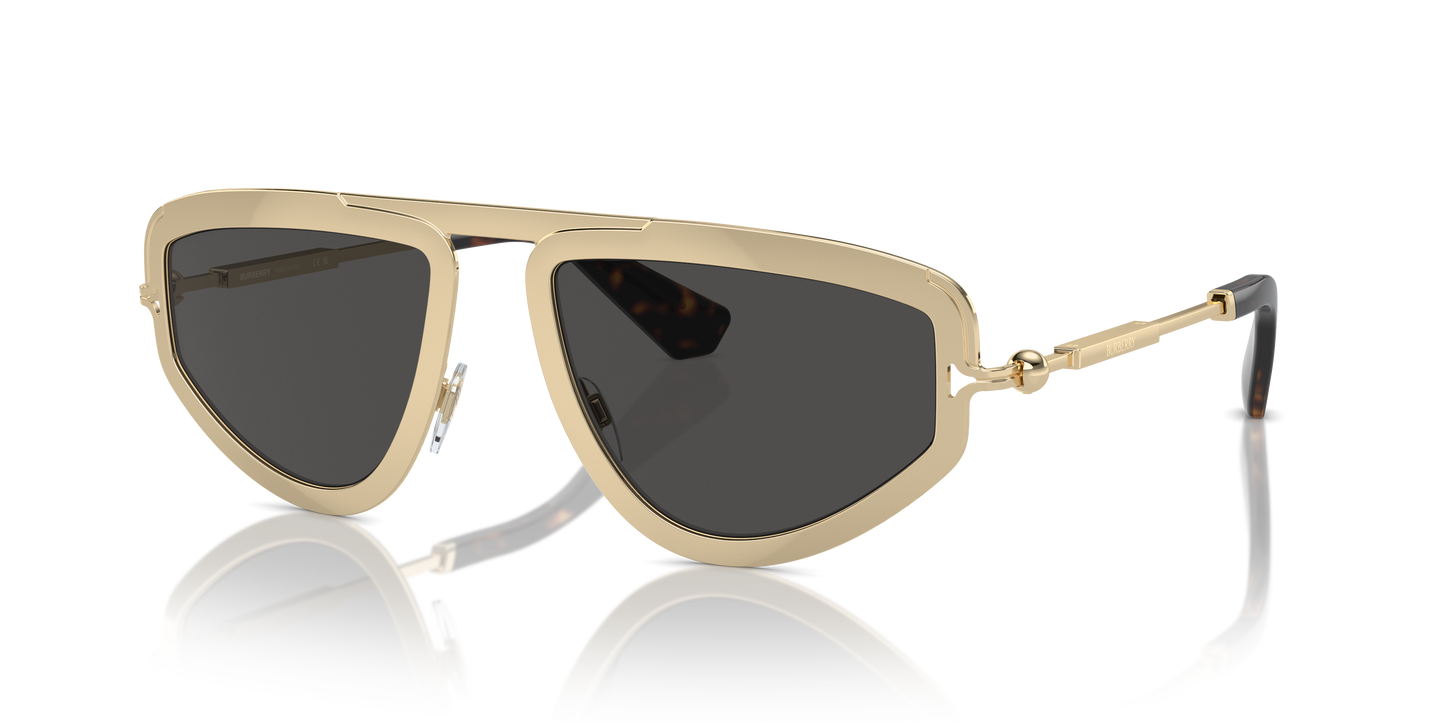 Burberry Sunglasses BE3150 110987