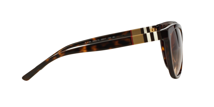 Burberry Sunglasses BE4199 300213