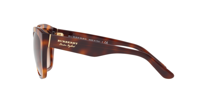 Burberry Sunglasses BE4261 331613