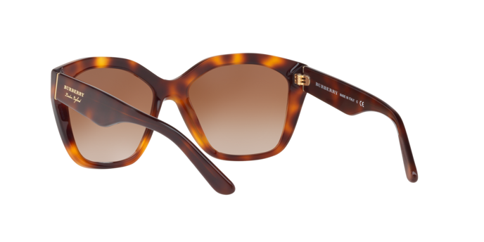 Burberry Sunglasses BE4261 331613