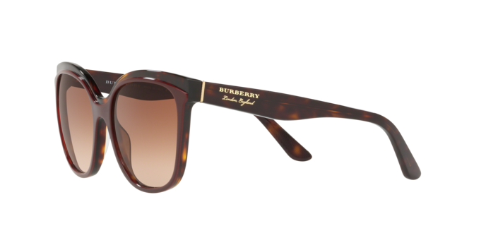 Burberry Sunglasses BE4270 373013