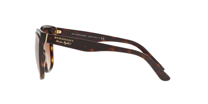 Burberry Sunglasses BE4270 373013