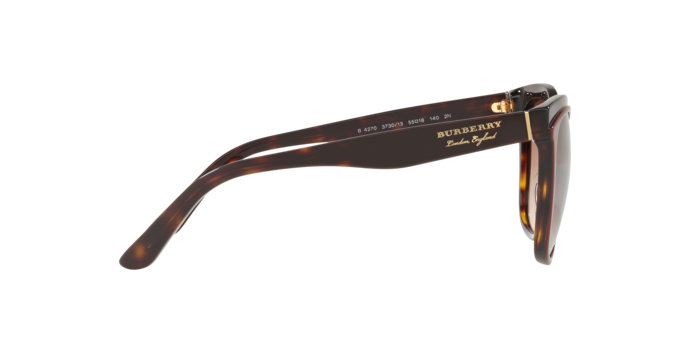 Burberry Sunglasses BE4270 373013