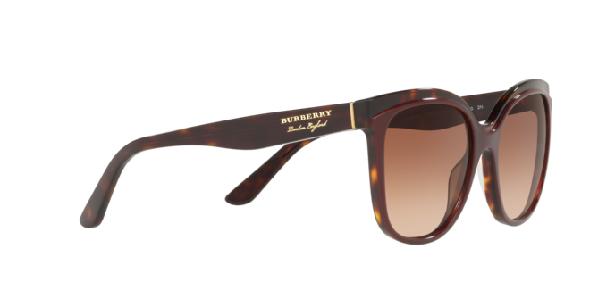 Burberry Sunglasses BE4270 373013