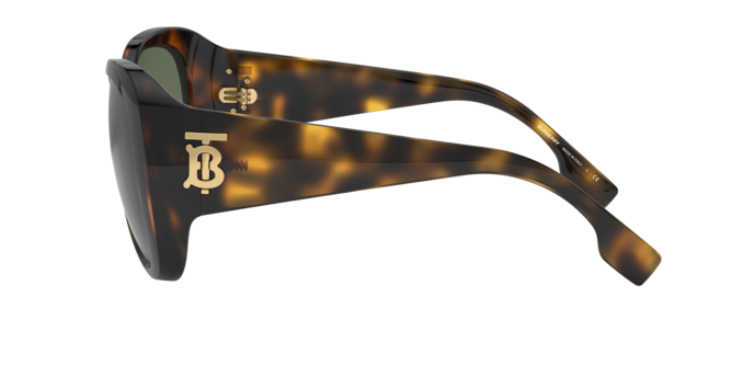 Burberry Florence Sunglasses BE4303 300271