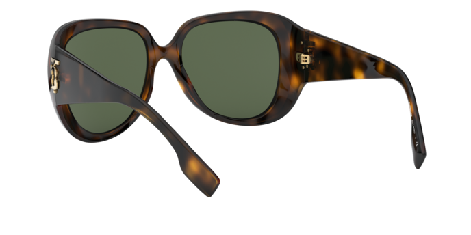 Burberry Florence Sunglasses BE4303 300271