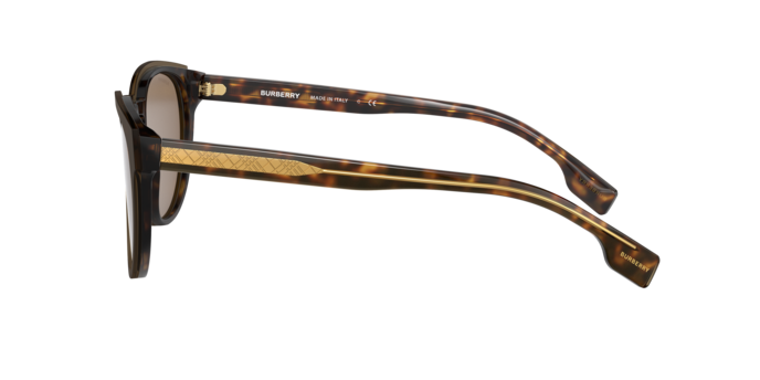 Burberry Bartlett Sunglasses BE4310 385173