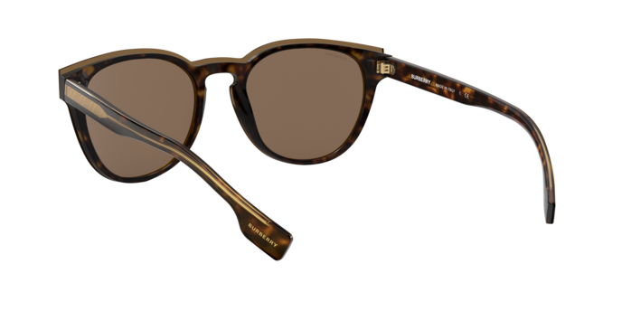 Burberry Bartlett Sunglasses BE4310 385173