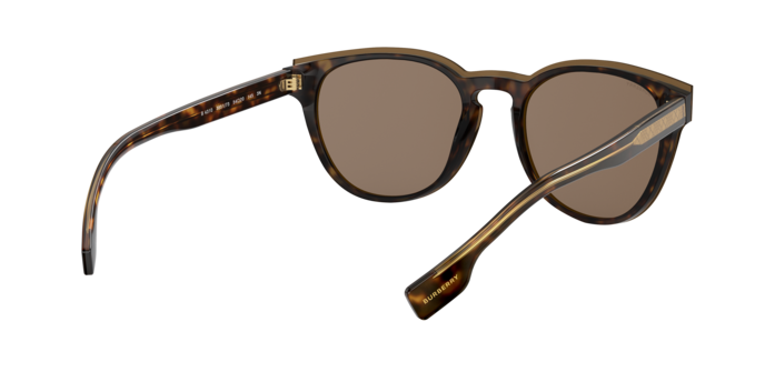 Burberry Bartlett Sunglasses BE4310 385173