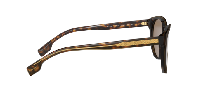 Burberry Bartlett Sunglasses BE4310 385173