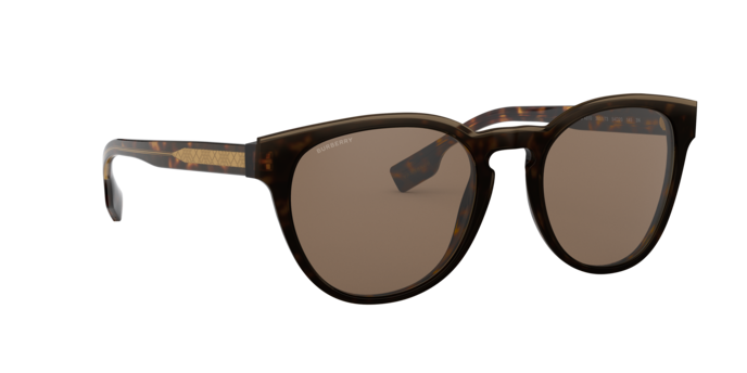 Burberry Bartlett Sunglasses BE4310 385173