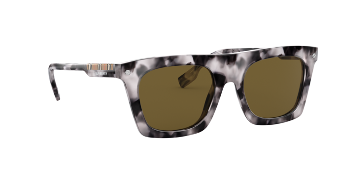 Burberry Camron Sunglasses BE4318 389473