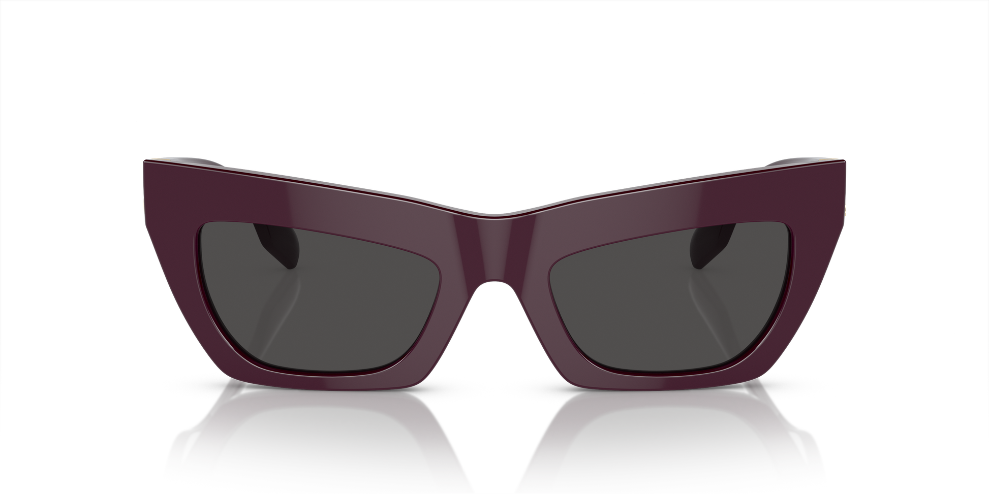 Burberry Sunglasses BE4405 397987