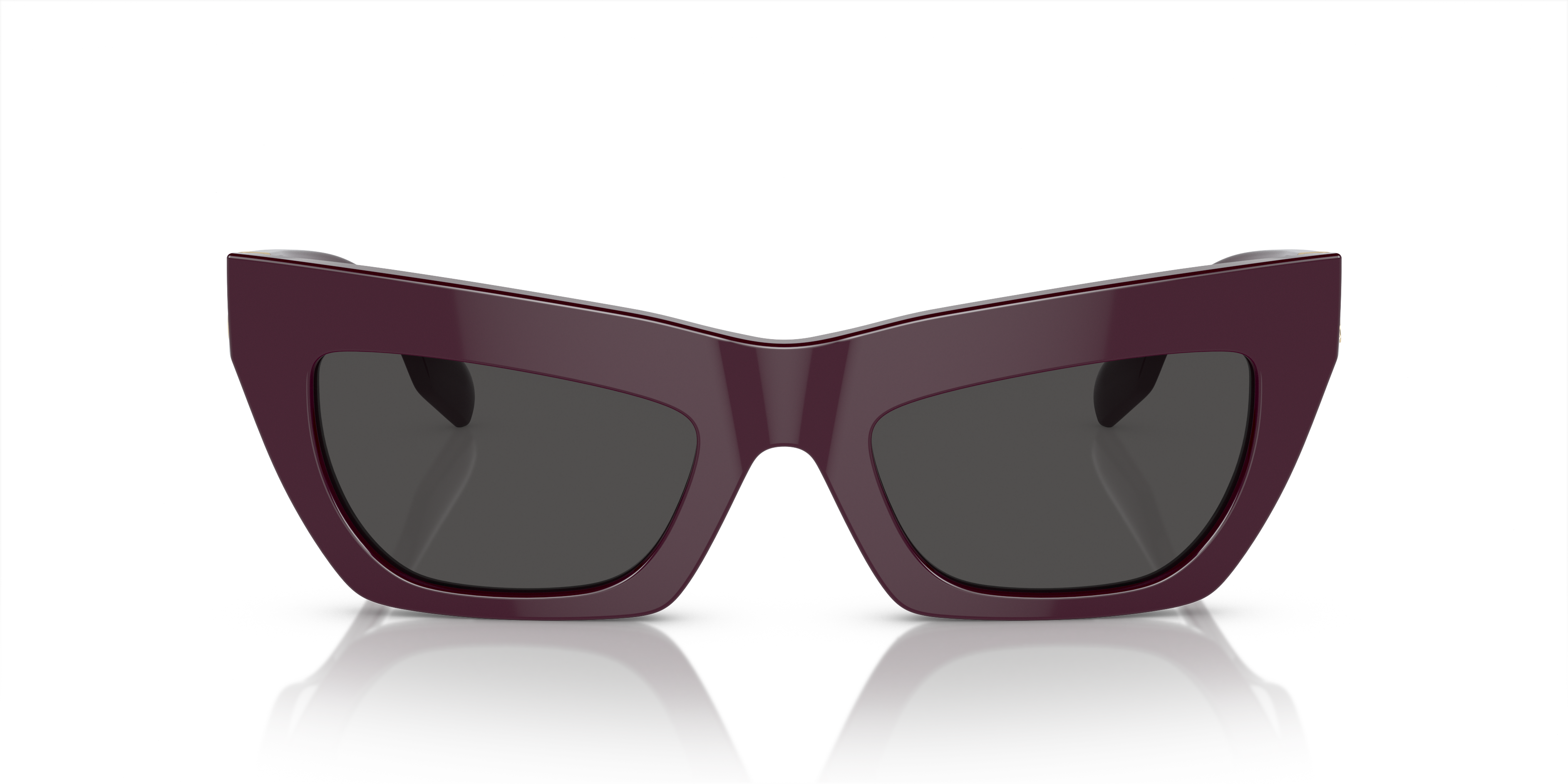 Burberry Sunglasses BE4405 397987